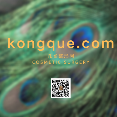 kongque.com