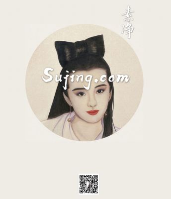 sujing.com