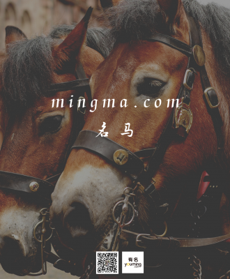 mingma.com